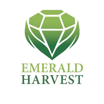 EmeraldHarvEU's tweet photo. #NewProfilePic https://t.co/UoHdsi2jZk