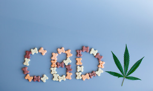 VolhardDogFood's tweet photo. Is CBD for Dogs a Good Idea?

The CBD alternative was sold as a natural path toward helping dogs with both health (e.g., pain, inflammation, anxiety, seizures, arthritis) and behavioral issues (for treating all sorts of aggressive behavior). And there's substantial merit to t ... https://t.co/1dpCgdRKSJ