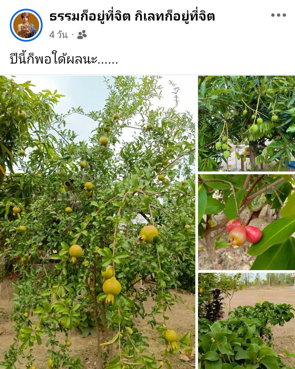 Mayaจะอยู่ตรงนี้เสมอ tweet media