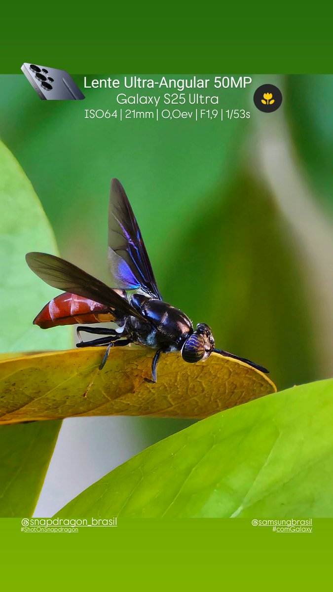 The most complete Ultra that Samsung has made! 😎
<a href="/snapdragon_BRA/">Snapdragon Brasil</a> <a href="/snapdragon_LAT/">Snapdragon Latam</a>
<a href="/Snapdragon/">Snapdragon</a> <a href="/SamsungBrasil/">Samsung Brasil</a>
#GalaxyS25Ultra #qualcomm #snapdragon8eliteforgalaxy #ShotOnSnapdragon #samsungmembers #galaxyai #comGalaxy #withGalaxy