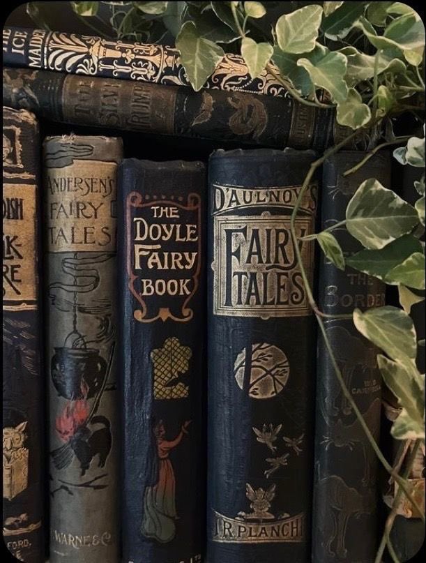 fjshbone's tweet image. — books i’ve read in 2025
goal: 5 books