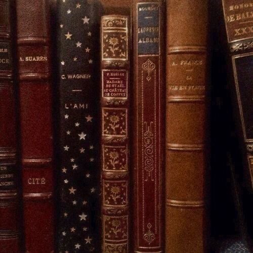 fjshbone's tweet image. — books i’ve read in 2025
goal: 5 books