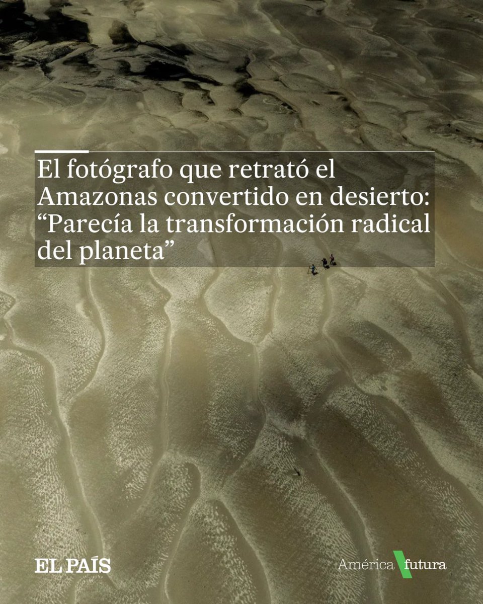 América Futura (@americafutura) on Twitter photo 📸El peruano-mexicano Musuk Nolte ha ganado el World Press Photo este año en la categoría historias, Sudamérica, por su registro de la sequía en Manaos, Brasil
✏<a href="/francescaraffo/">Francesca Raffo</a>
🔗 dozz.es/vnmns9 📸El peruano-mexicano Musuk Nolte ha ganado el World Press Photo este año en la categoría historias, Sudamérica, por su registro de la sequía en Manaos, Brasil
✏<a href="/francescaraffo/">Francesca Raffo</a>
🔗 dozz.es/vnmns9