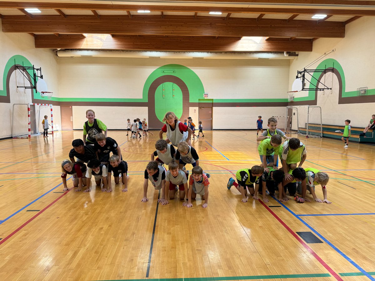 The idea of movement as language and play as its universal grammar reshapes how we understand and approach skill acquisition. If sports and physical activities are not merely "like" language but truly are a language, grounded in biological universals, then our methodologies must
