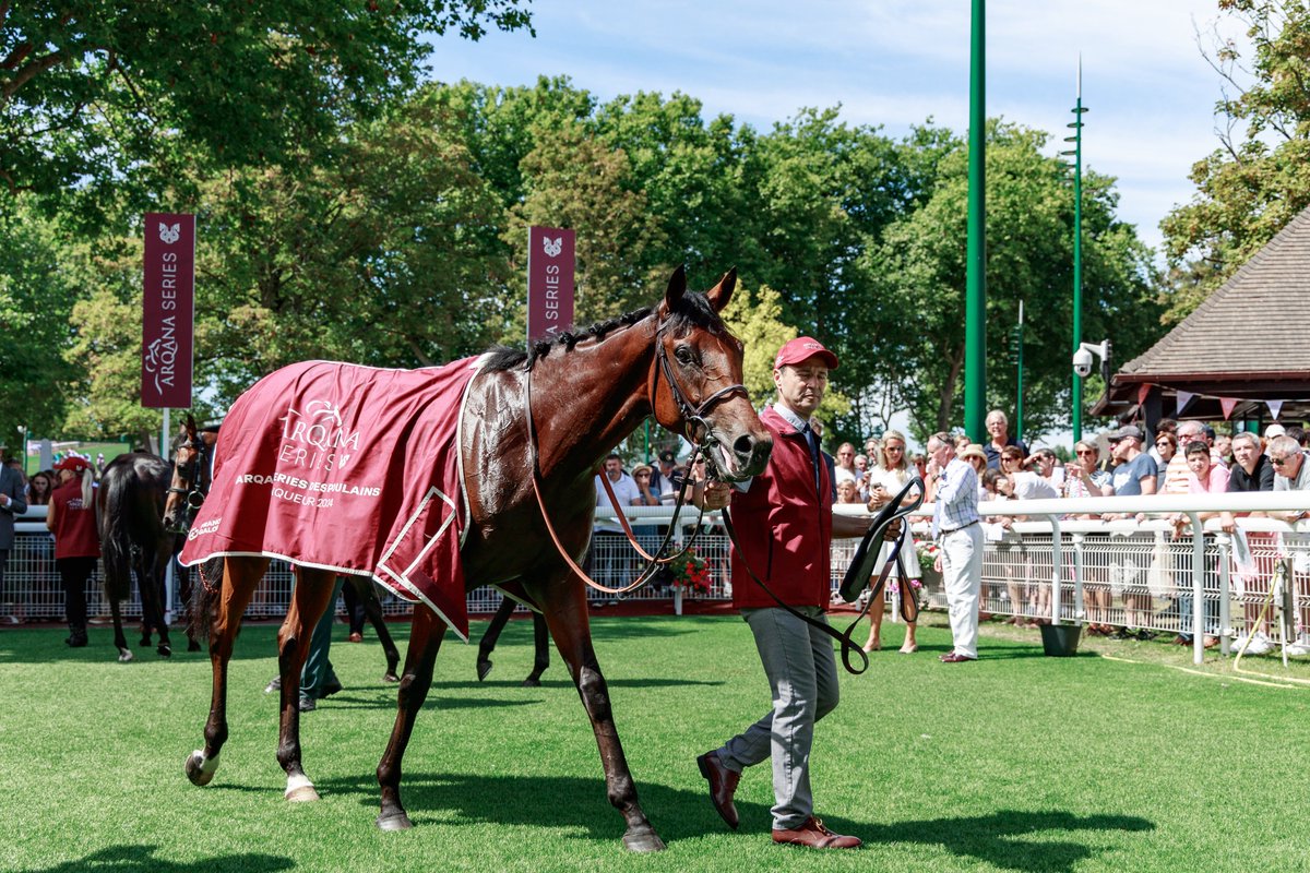 InfoArqana's tweet photo. 👏🏻Congratulations again to 𝑀𝐴𝑅𝐴𝑁𝑂𝐴 𝐶𝐻𝐴𝑅𝐿𝐼𝐸 on his victory this afternoon at 🇫🇷 @fgdeauville.
Remember, he was the 2024 winner of the #ARQANASeries des Poulains!
🚨Qualifications for the 2025 ARQANA Series open on 22 April!
📗All about ARQANA Series: https://t.co/ni1gwprvAp
📸MARANOA CHARLIE - 2024 ARQANA Series / Gr.3 Prix Djebel - @zuzanna_lupa