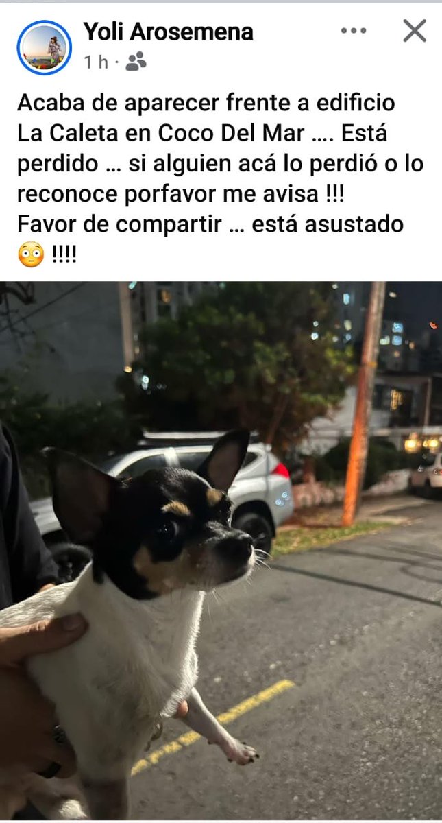 Ivette Berrio tweet media