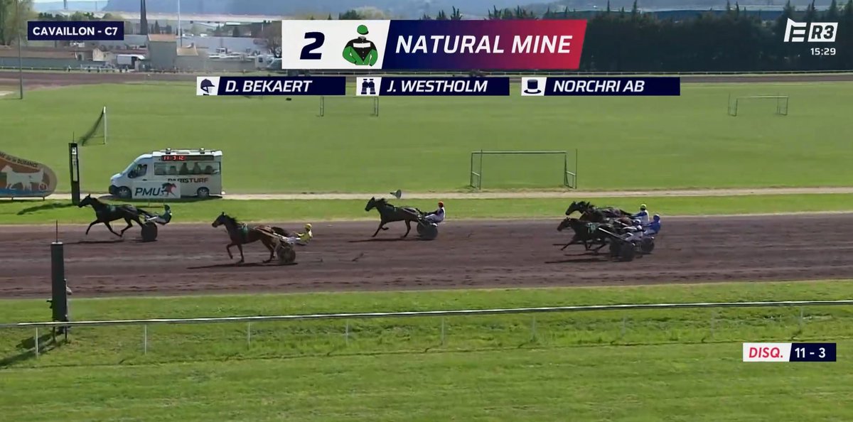 TeamWestholm's tweet photo. 🇫🇷 🥇Natural Mine tog en ny fin seger från ledningen i Cavaillon, med David Bekaert i sulkyn! 👊🏻 Segertiden blev 1.13.6/2525a och förstapriset uppgick till 11 700 euro 🥂 Skötare Stine hälsar stort grattis till ägarna Christer Nordin, Håkan Matz och Rickard Fasth🍾 📊 Det här var dessutom seger nr 300 för Team Westholm på fransk mark! 💥 👏 🇫🇷