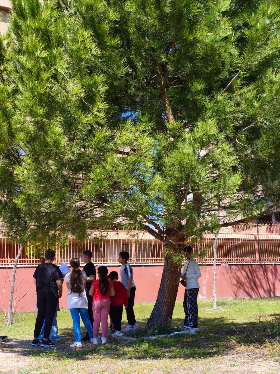 #DiaPuebloGitano  💙💚
Hoy 8 de abril celebramos el Día del Pueblo Gitano con la realización de una gymkana en torno al caló.
<a href="/educacyl/">Educación JCyL</a> 
<a href="/AyuntamientoVLL/">Ayto. de Valladolid</a>