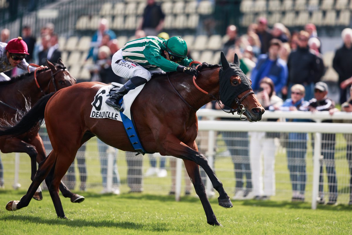 InfoArqana's tweet photo. 👏🏻Congratulations again to 𝑀𝐴𝑅𝐴𝑁𝑂𝐴 𝐶𝐻𝐴𝑅𝐿𝐼𝐸 on his victory this afternoon at 🇫🇷 @fgdeauville.
Remember, he was the 2024 winner of the #ARQANASeries des Poulains!
🚨Qualifications for the 2025 ARQANA Series open on 22 April!
📗All about ARQANA Series: https://t.co/ni1gwprvAp
📸MARANOA CHARLIE - 2024 ARQANA Series / Gr.3 Prix Djebel - @zuzanna_lupa