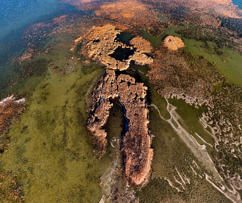 KBA Canada tweet media