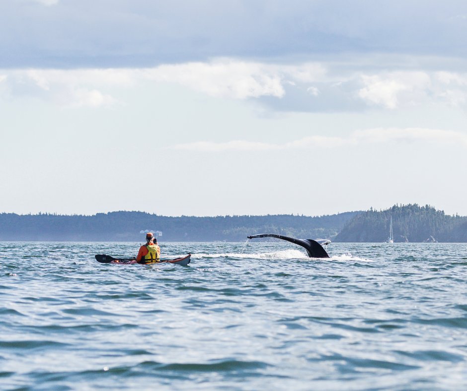 KBA Canada tweet media