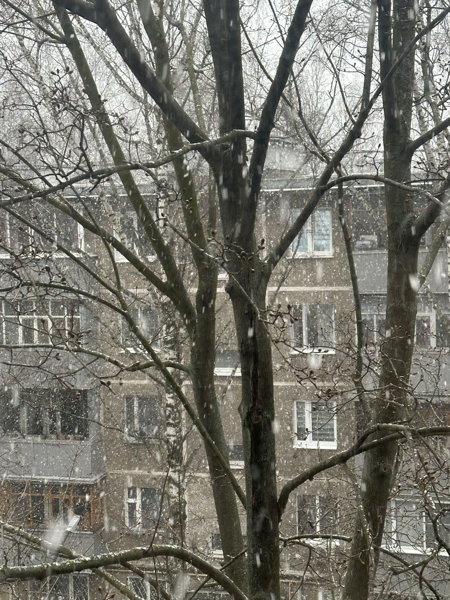 Че началось то, нормально же общались…