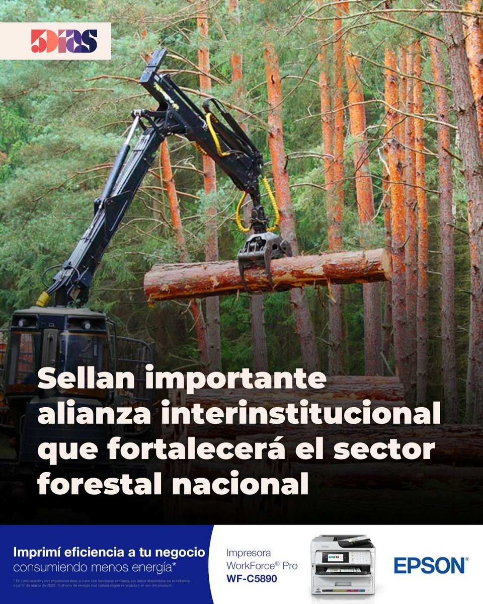 Una alianza que fortalece al sector forestal paraguayo 🌱🇵🇾

La Universidad Rural del Paraguay (URP), el Instituto Forestal Nacional (INFONA) y la Agencia Financiera de Desarrollo (AFD) firmaron un convenio interinstitucional que apunta a potenciar la formación profesional, la