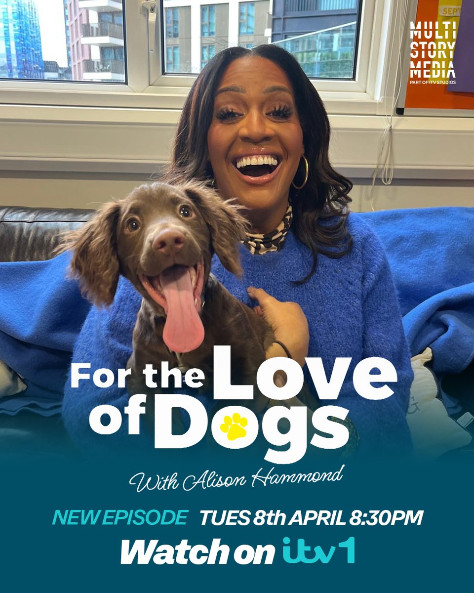 For the Love of Dogs (@itvflod) on Twitter photo 💙🐶 For The Love of Dogs is back with a Brand New Episode Tonight!
➡️ Alison helps a shy lurcher build up her confidence🫶, and an overexcited spaniel puppy is put through his paces to see if he could be used as a military working dog🐕🎖️.
Watch tonight at 8:30pm on ITV1! 💙🐶 For The Love of Dogs is back with a Brand New Episode Tonight!
➡️ Alison helps a shy lurcher build up her confidence🫶, and an overexcited spaniel puppy is put through his paces to see if he could be used as a military working dog🐕🎖️.
Watch tonight at 8:30pm on ITV1!