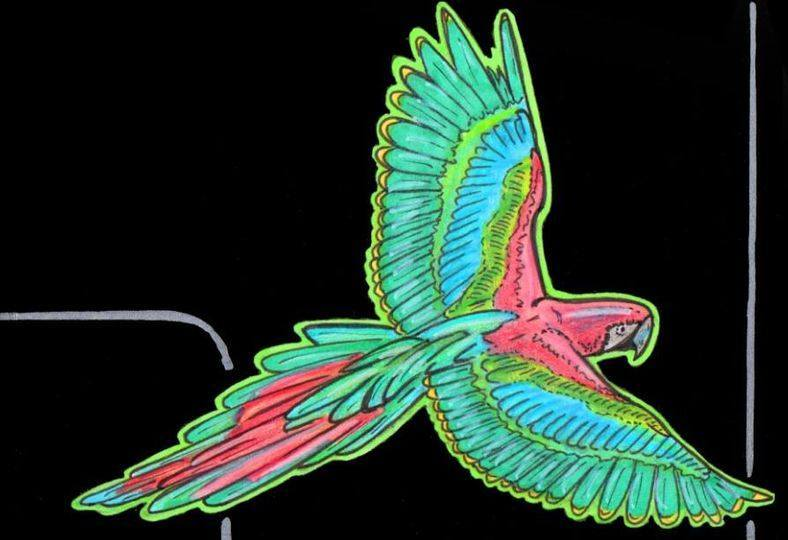 macandtrouble's tweet photo. Today, April 8 is "Draw a Picture of a Bird Day" !!
Spread your wings and fly ! 🐦🐦
This sketch card was originally part of a 9-card puzzle for a charity !
#sketchcard #comics #birds #drawapicture #birdday https://t.co/dLPvW0QN3X