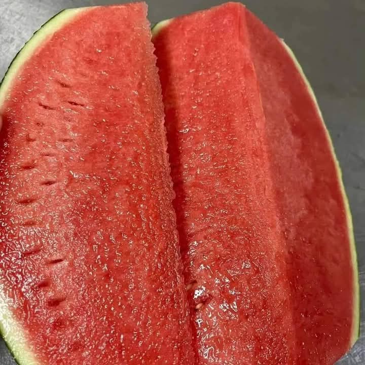 Ashis_h_'s tweet photo. Two major reason of loving summer https://t.co/EEqrWTSpac