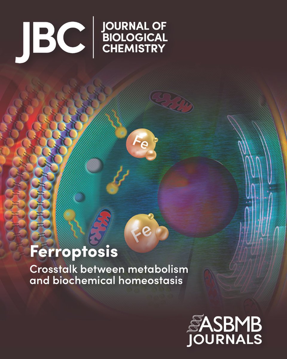 ASBMB (@asbmb) on Twitter photo Gearing up for our meeting on #ferroptosis? Don't miss this <a href="/jbiolchem/">Journal of Biological Chemistry</a> minicollection, which showcases the latest advancements in this fast-moving field of research: bit.ly/41Br12E.
➡️Thank you to our sponsors, including the Chinese Biological Investigators Society! Gearing up for our meeting on #ferroptosis? Don't miss this <a href="/jbiolchem/">Journal of Biological Chemistry</a> minicollection, which showcases the latest advancements in this fast-moving field of research: bit.ly/41Br12E.
➡️Thank you to our sponsors, including the Chinese Biological Investigators Society!