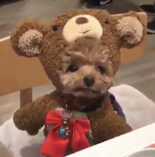 나에겐 종인이가 다소 이렇게 보임 쪼푸야