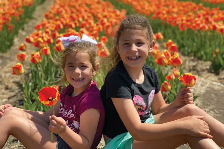 ILPartners's tweet image. Check out what’s happening across the state this month with our Illinois April events calendar. 🌷
ilfbpartners.com/family/events/…
📸: Richardson Farm