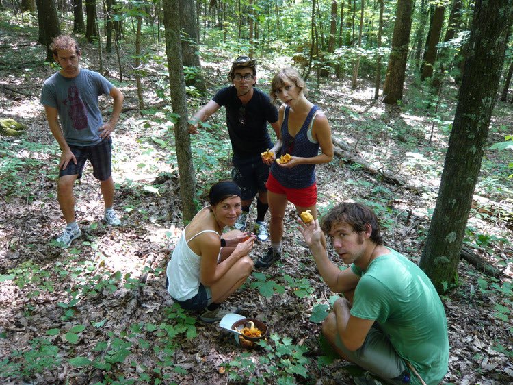 alldelightedppl's tweet image. Sufjan Stevens with Bryce Dessner, Aaron Dessner and co.
