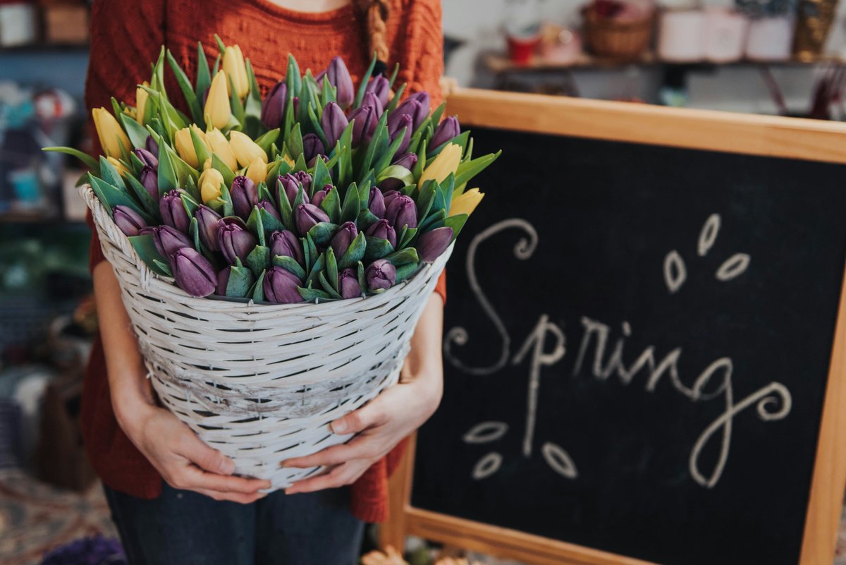BottineauEdc's tweet photo. Spring has sprung on the calendar but is still taking its time outside. Visit your favorite florist to brighten up your inside.  
#BottineauCounty #TurtleMountainFloral https://t.co/DXjEsWCV2j