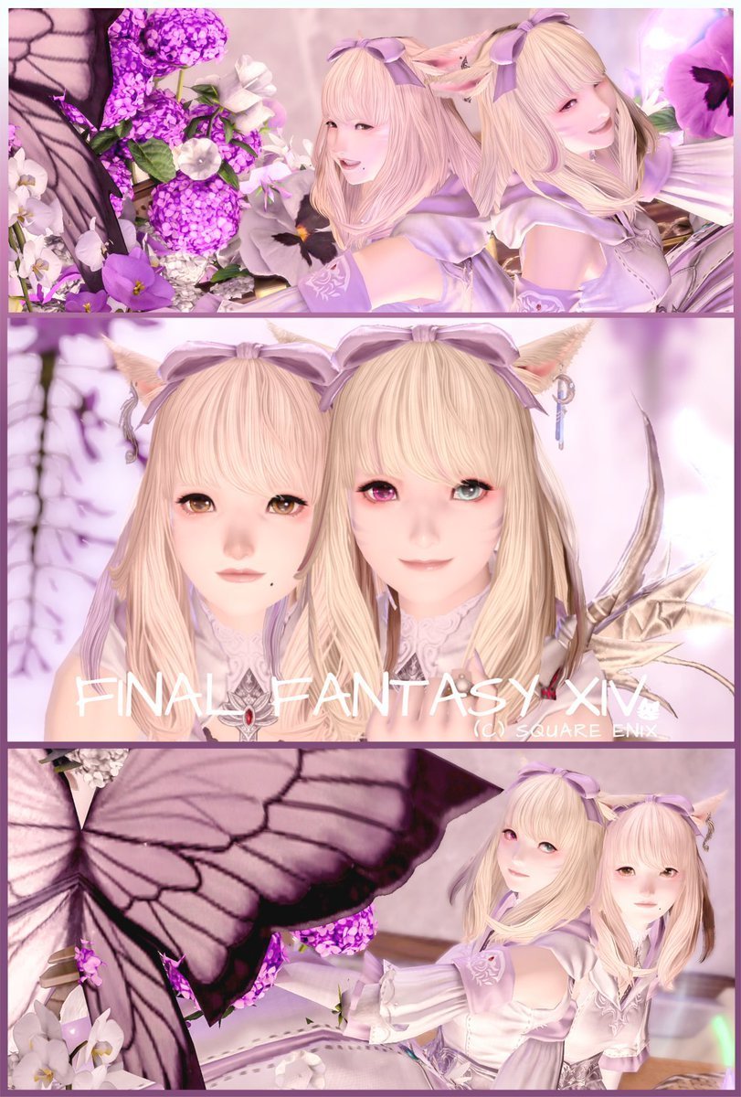 dqx_pochi's tweet photo. ｡.ꕤ………………………………………..ꕤ.｡
おぁよฅ/ᐠ｡ ̮｡ᐟ\ฅ 

りりちゃん @LilyFoul と絵画の世界に入ってみたよー📸
スタジオに合わせてパープルにして撮影したんだけどめっちゃ可愛かった💜

｡.ꕤ………………………………………..ꕤ.｡
🏷 #san_studio
#FF14 ┆ #おはミコ ┆ #ミコッテ https://t.co/GB7AwxJzwL