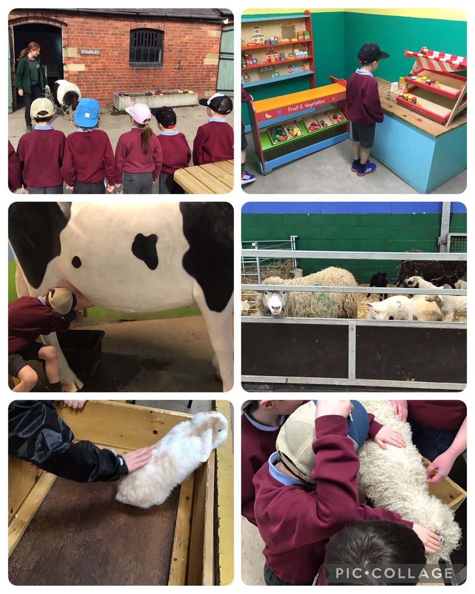 Meole Brace C of E Primary School and Nursery tweet media