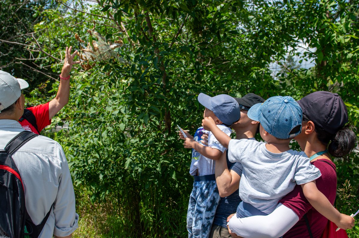 RougePark's tweet image. Happy National Tourism Week, Canada! #RougeNUP invites you to celebrate our rich history and diverse landscapes while making unforgetting memories with your friends and family this spring. Plan your adventure today!

parks.canada.ca/pn-np/on/rouge…