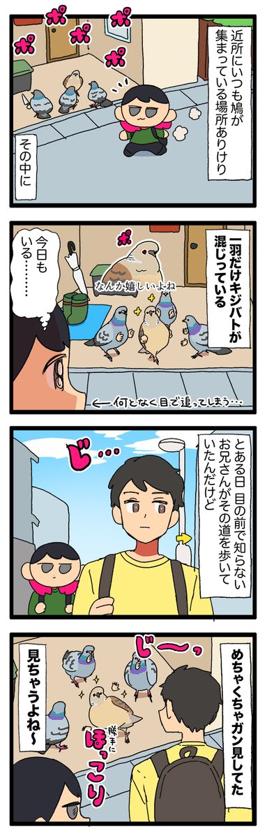 鳩の群れの中にいるキジバト、なんだか嬉しい(よね)

2060 #えるポピの絵日記かくところ 