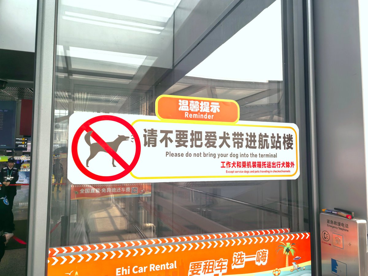 403Error_code's tweet photo. （南航的窗户为什么都是刮花的😥 https://t.co/scrReXDhyh