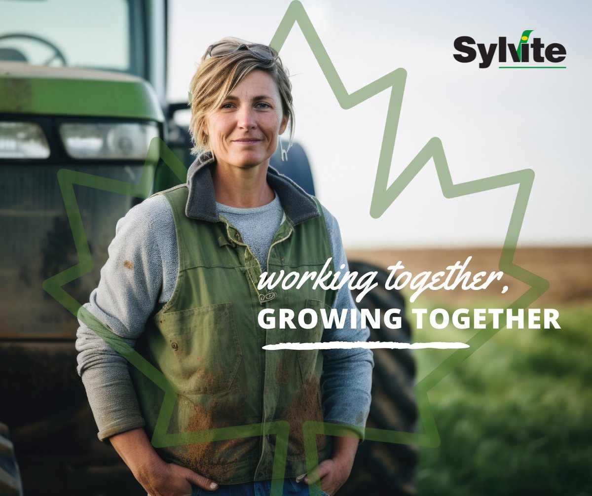 SylviteAg's tweet photo. Sylvite is proudly 100% Canadian-owned, supporting businesses and communities across Canada since day one.

For over 45 years, we’ve grown alongside the industries and people who make this country strong.

 #Sylvite #MadeInCanada #ProudlyCanadian #CanadianSupplyChain https://t.co/CbF3vzL5Mp