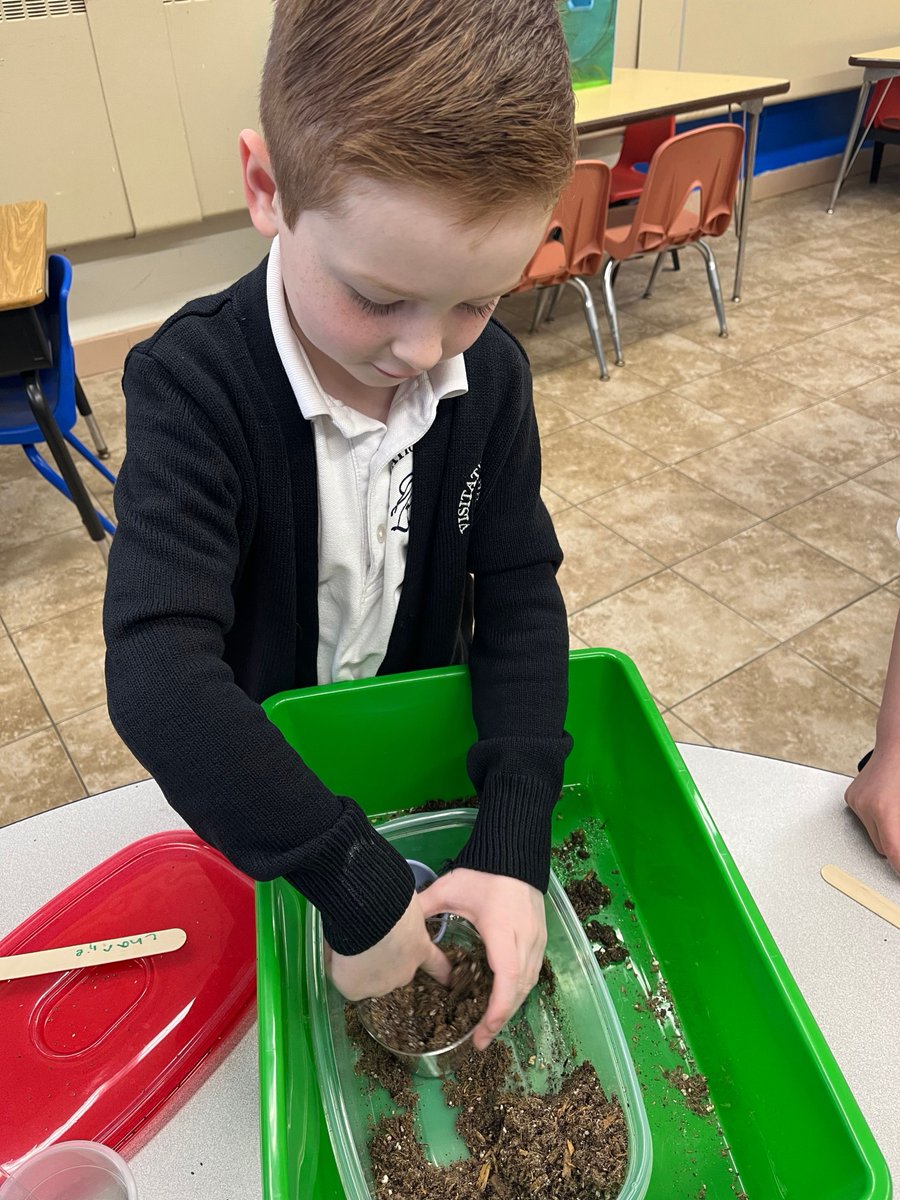 VisitationParam's tweet photo. COME AND VISIT US! Kindergarten students are learning that plants need sunlight, water, dirt, and air to grow. So far we planted Chia seeds and will be planting sunflower seeds soon!
call 201-262-6067 to take a tour! https://t.co/rsIll5D2Yh https://t.co/XTGmfeNtiK