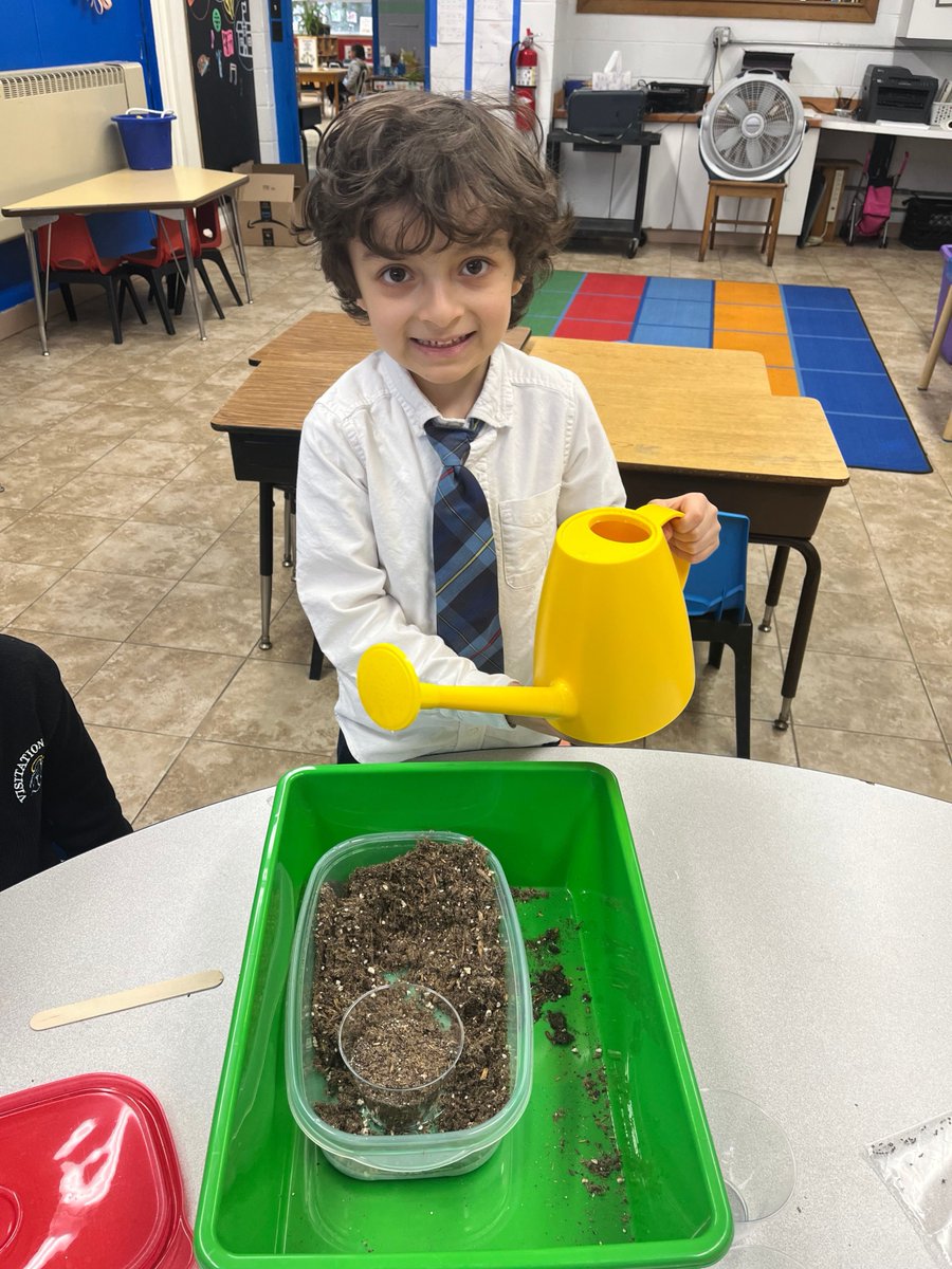 VisitationParam's tweet photo. COME AND VISIT US! Kindergarten students are learning that plants need sunlight, water, dirt, and air to grow. So far we planted Chia seeds and will be planting sunflower seeds soon!
call 201-262-6067 to take a tour! https://t.co/rsIll5D2Yh https://t.co/XTGmfeNtiK