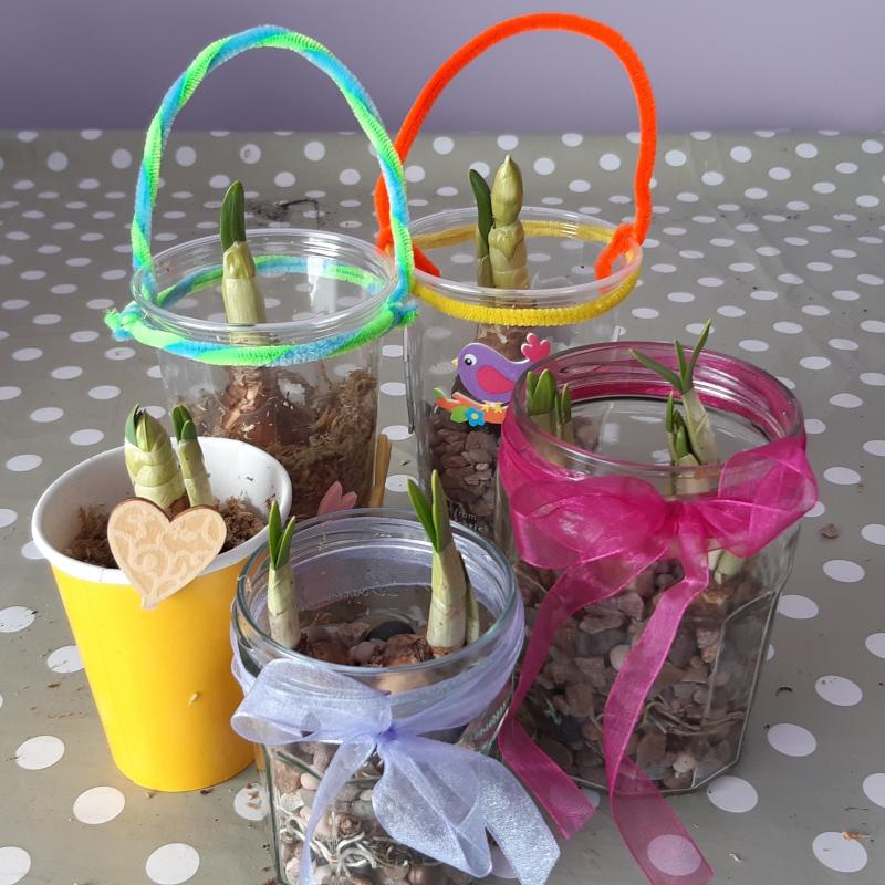 Put a Spring in your step with this tabletop craft and plant growing activity. Instant colour and fun with spring flowering bulbs available now!  Take a look at our April Garden Bites: trellisscotland.org.uk/spring-floweri…