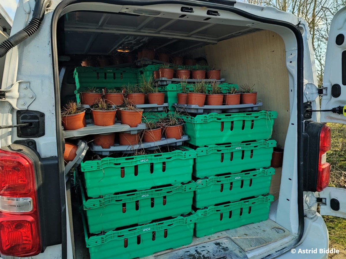 Herts & Middlesex Wildlife Trust tweet media