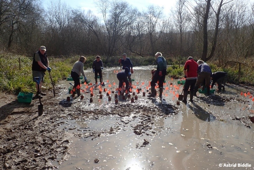 Herts & Middlesex Wildlife Trust tweet media