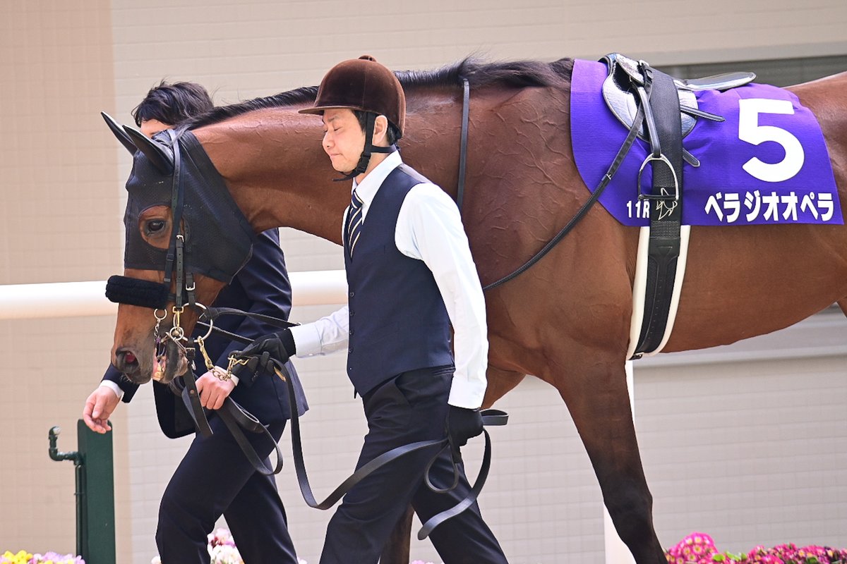 sball_dictus's tweet image. #べラジオオペラ
#ロードカナロア