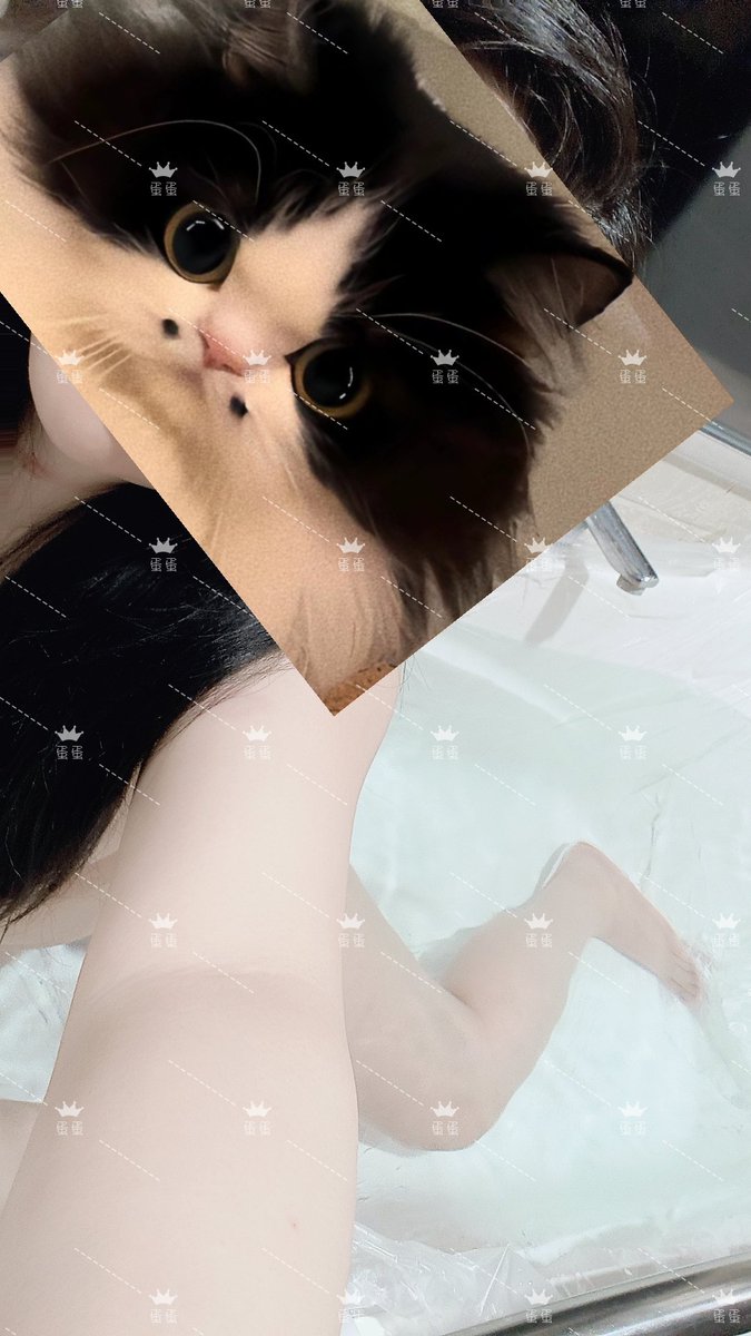 蛋蛋୧( ⁼̴̶̤̀ω⁼̴̶̤́ )૭ tweet media