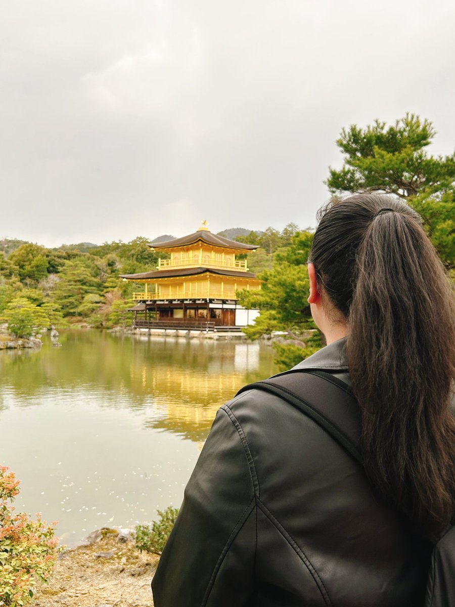 suecollins_'s tweet photo. thank you Japan and thank you @orionandthesea for giving me this spiritual experience https://t.co/osFEH4N2L7