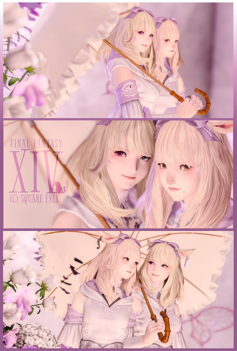 dqx_pochi's tweet photo. ｡.ꕤ………………………………………..ꕤ.｡
おぁよฅ/ᐠ｡ ̮｡ᐟ\ฅ 

りりちゃん @LilyFoul と絵画の世界に入ってみたよー📸
スタジオに合わせてパープルにして撮影したんだけどめっちゃ可愛かった💜

｡.ꕤ………………………………………..ꕤ.｡
🏷 #san_studio
#FF14 ┆ #おはミコ ┆ #ミコッテ https://t.co/GB7AwxJzwL