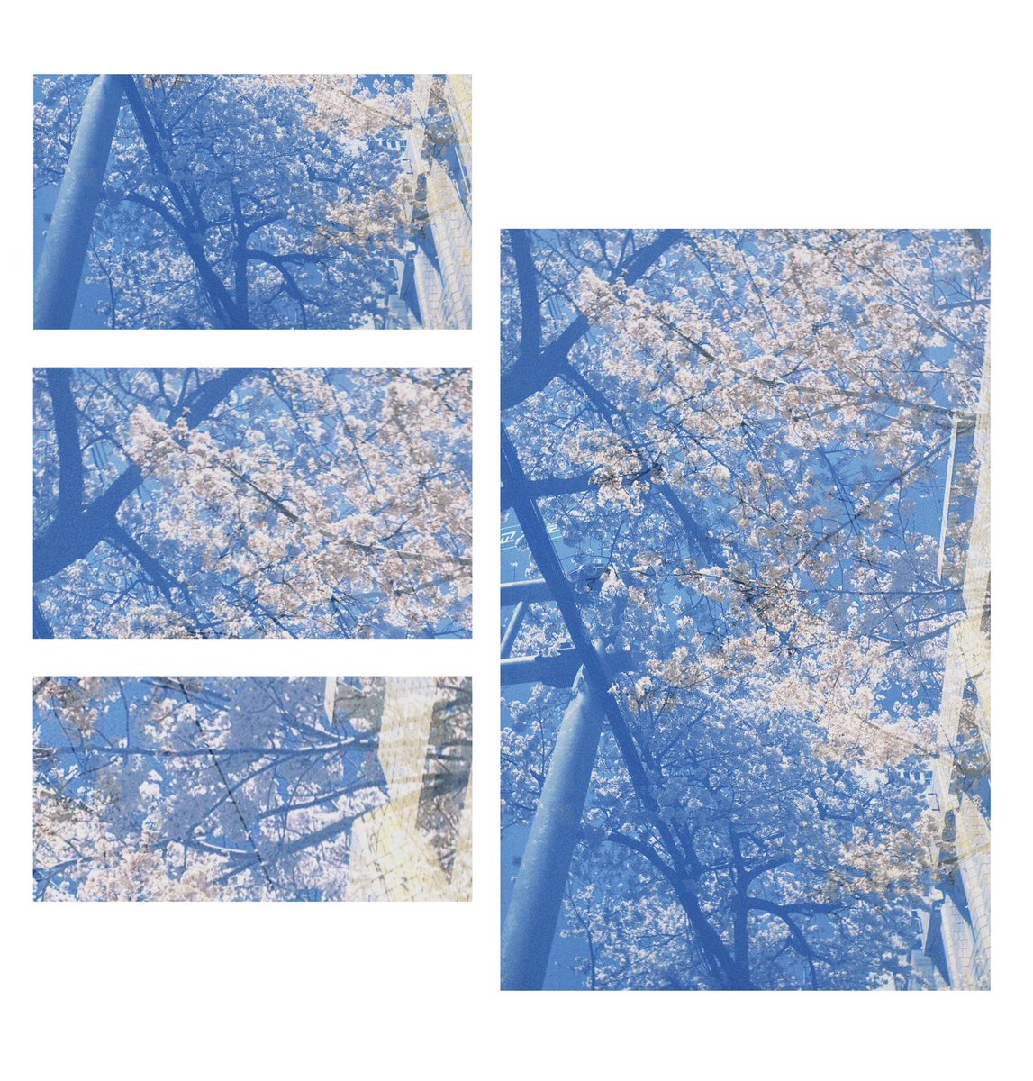 ْ (@elx5e) on Twitter photo 