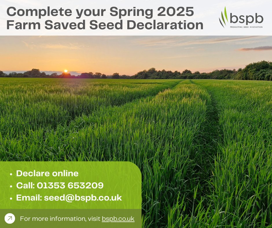 Have you returned an autumn seed declaration to BSPB yet? Farm saved seed payments go towards research and future varieties, which could improve yield! 

* A declaration is required whether farm saved seed was used or not.

returns.bspb.co.uk