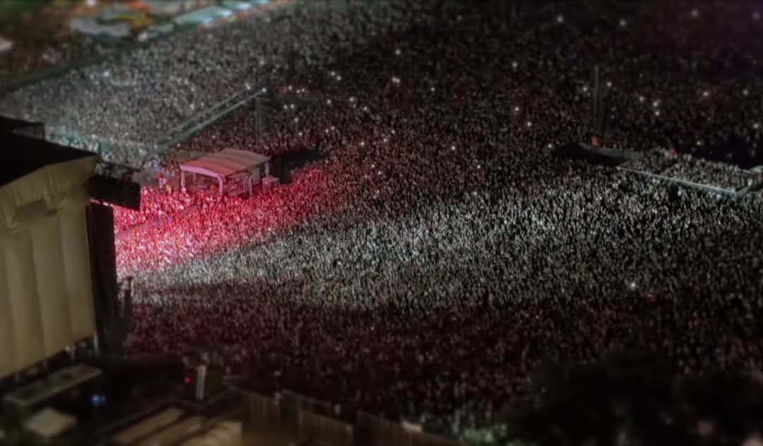 Simba 🦁 tweet media