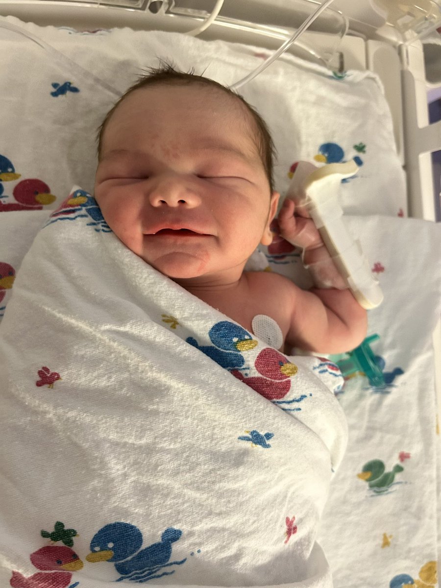 Nick Barese tweet media