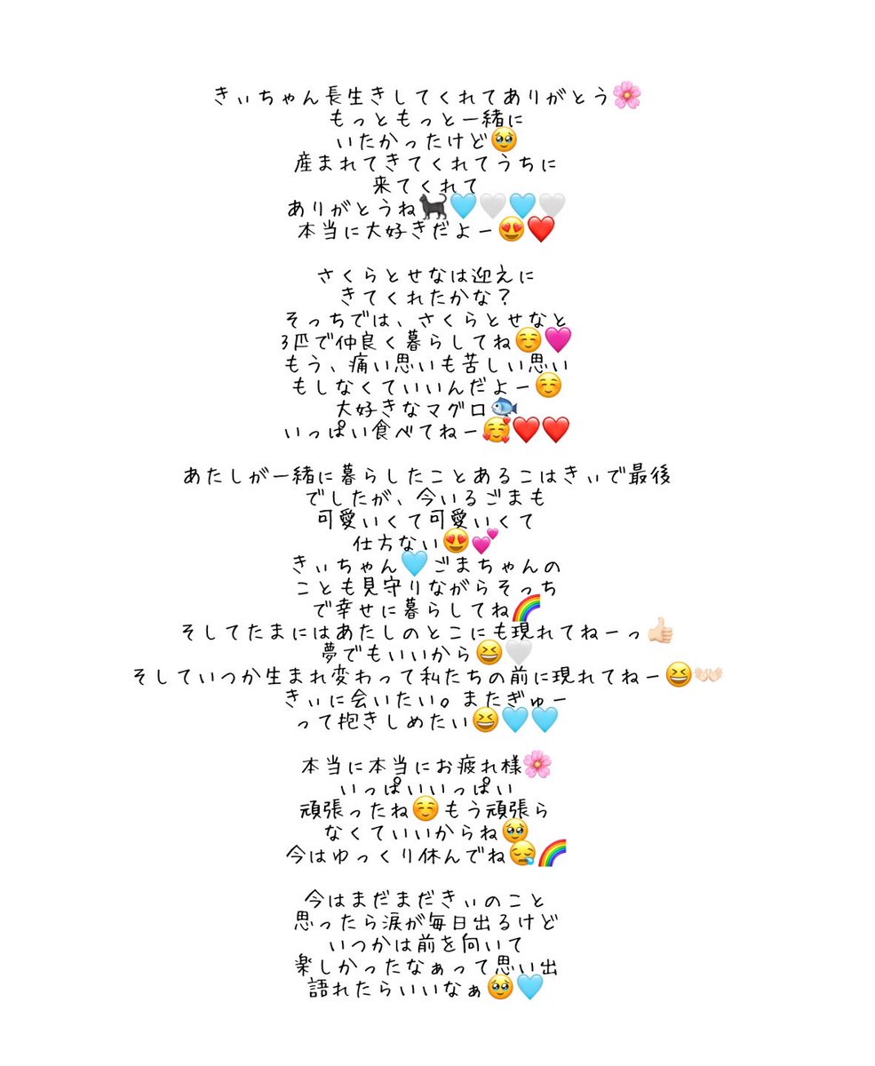 Kaayade21's tweet photo. 初七日を迎えました🪽

#愛猫 #家族 #愛してる https://t.co/0vWSKraPEe