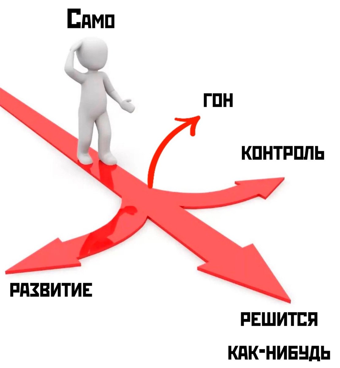 sobolyata's tweet photo. Выбирай с умом) https://t.co/oDXgvL7RYL