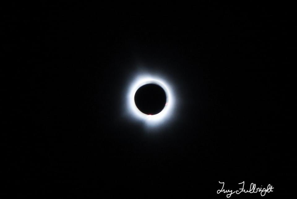 TreyTwister_WX's tweet image. One year ago today! I could go back and relive this experience over and over. #SolarEclipse2024