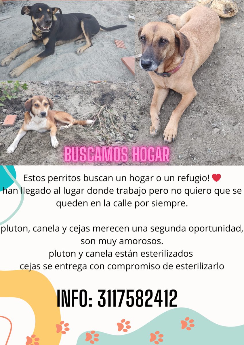 monipaito's tweet photo. #adoptanocompres
@mundo89 @UltimaHoraTulua https://t.co/mScuVqpKxD