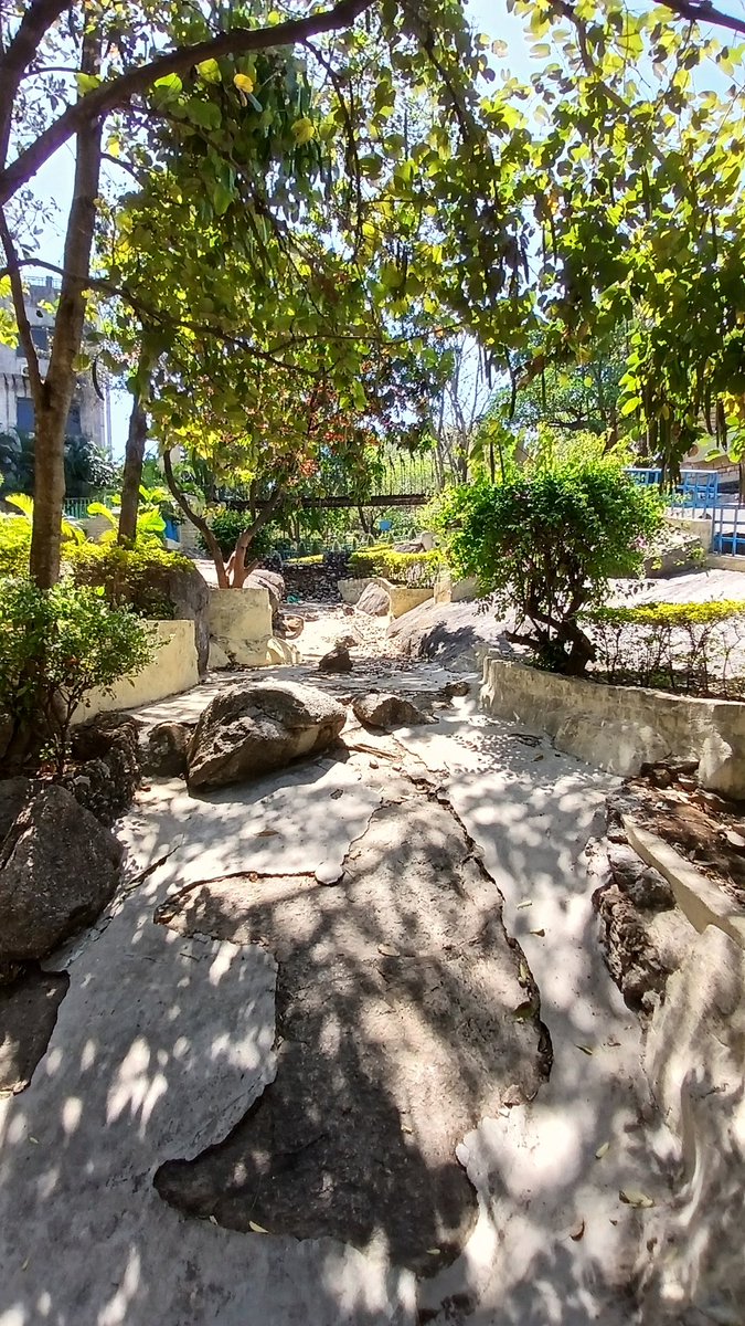 100Kumar_ankit7's tweet photo. Rock Garden
#prose #poems #writing #writer #novel #lotsoflove #diary #penpaper #Author #storyteller #story #creativewriting #tourism #poetry #library #book #bookfair #storytellings #college #graduation #masters #postgraduate #statemuseum #Ranchi #Jharkhand #biologicalgarden https://t.co/QhYTJXN3Lo