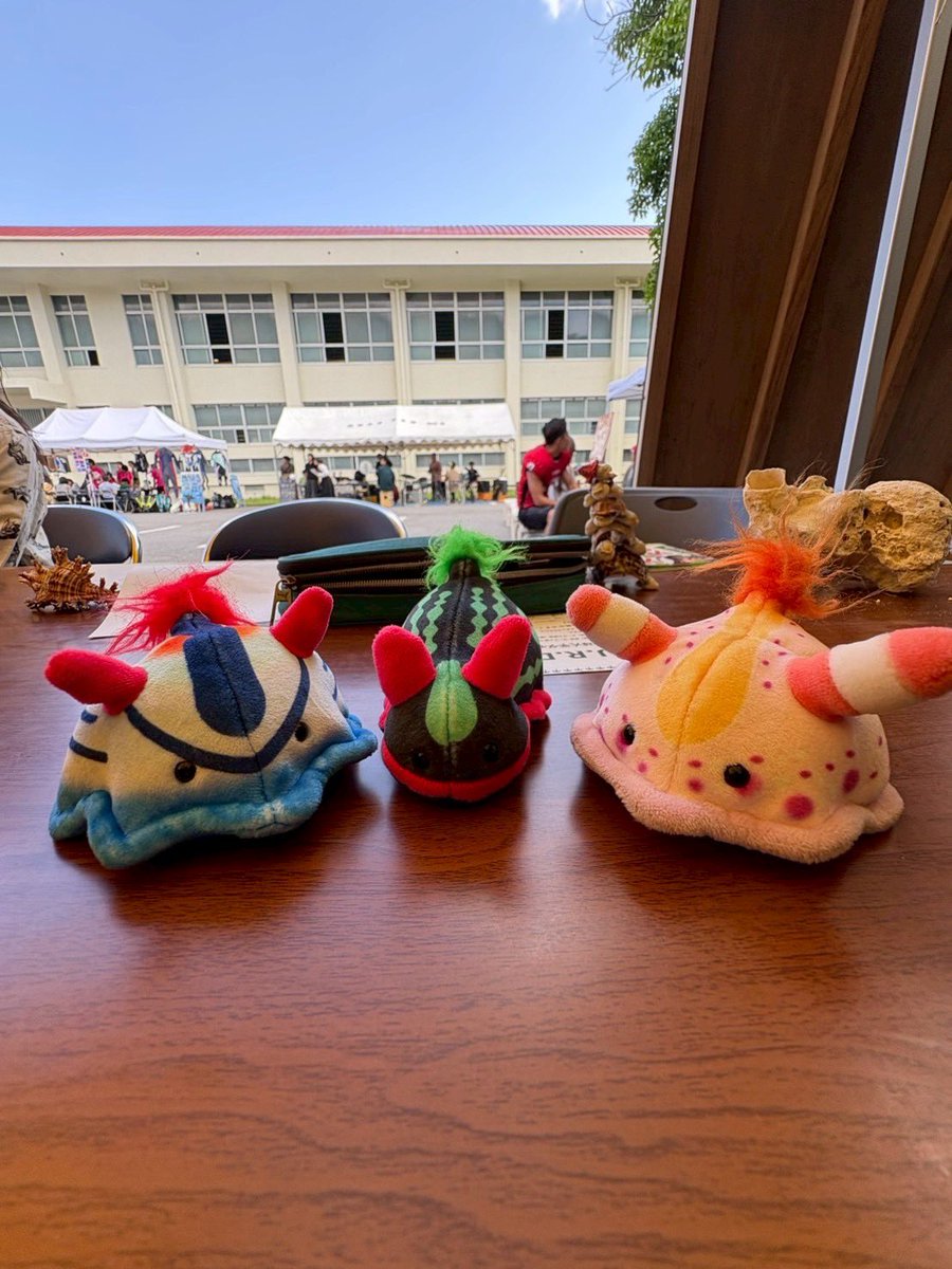 urdc_official's tweet photo. 2日間に渡った新歓オリエンテーション、部員のみんなの頑張りもあって無事完了しました。
来てくれた新入生の皆さん、ありがとうございます。

#春から琉大
#琉大新歓
#ダイビング部 https://t.co/npp9ekfOqd